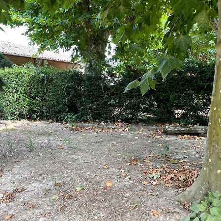 Le Clos Des Cadots - Chambre Chaintré Dış mekan fotoğraf